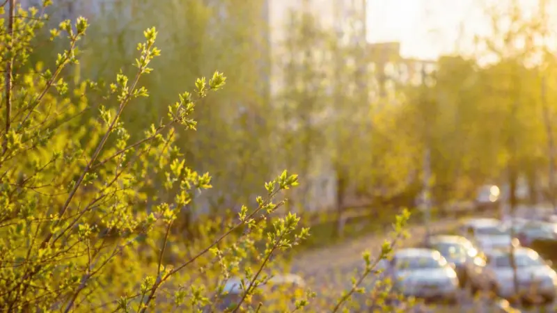 Тепло скоро вернётся на Вологодчину