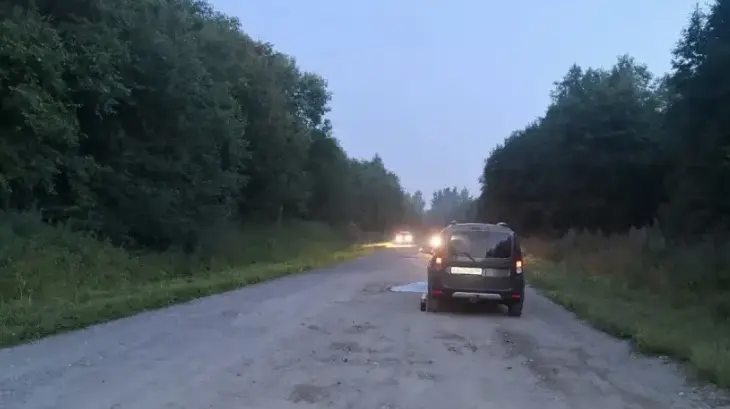 В Бабаевском округе насмерть сбили пешехода