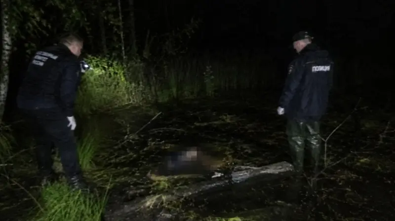 Под Череповцом арестован подозреваемый в убийстве