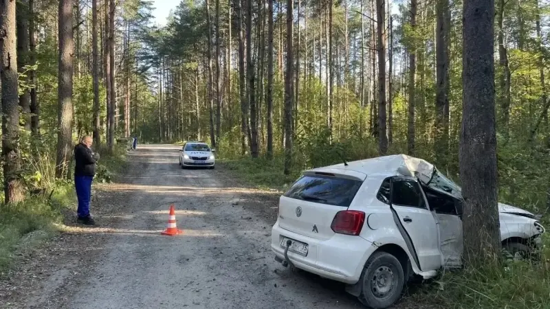 Под Череповцом произошло смертельное ДТП