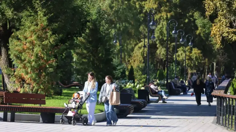 Бабье лето идёт на Вологодчину