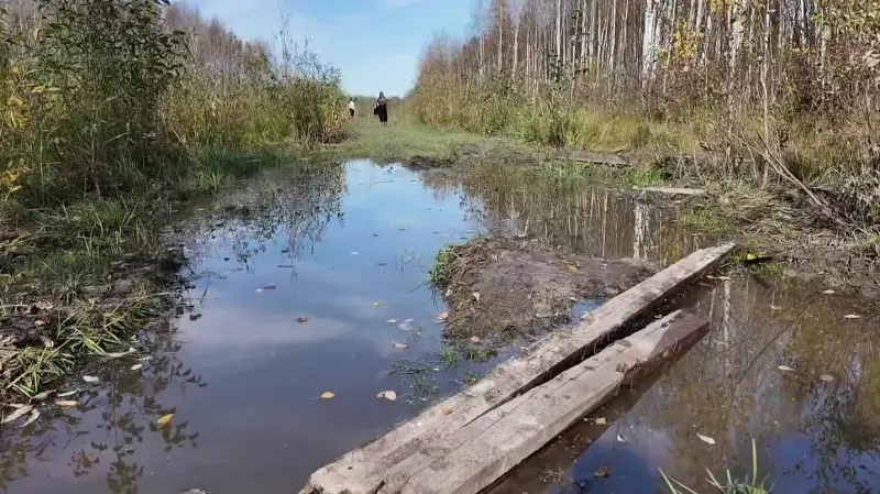 Многодетным вологжанам выделили участки среди болот