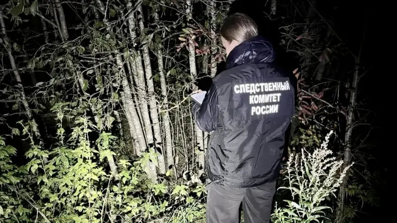 Медведь загрыз охотника рядом с Устьем